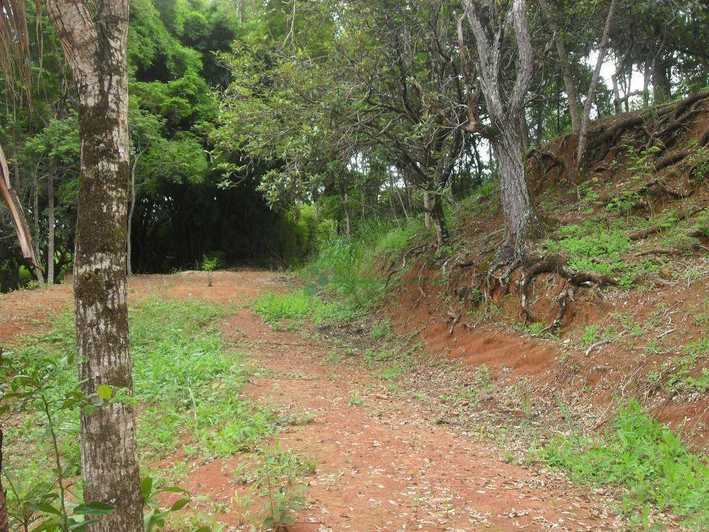 Fazenda à venda com 4 quartos, 200m² - Foto 8