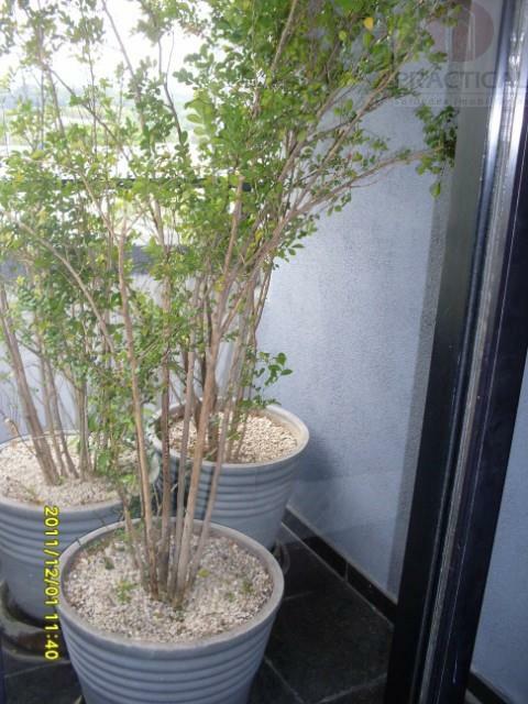 Apartamento, 3 quartos, 186 m² - Foto 5