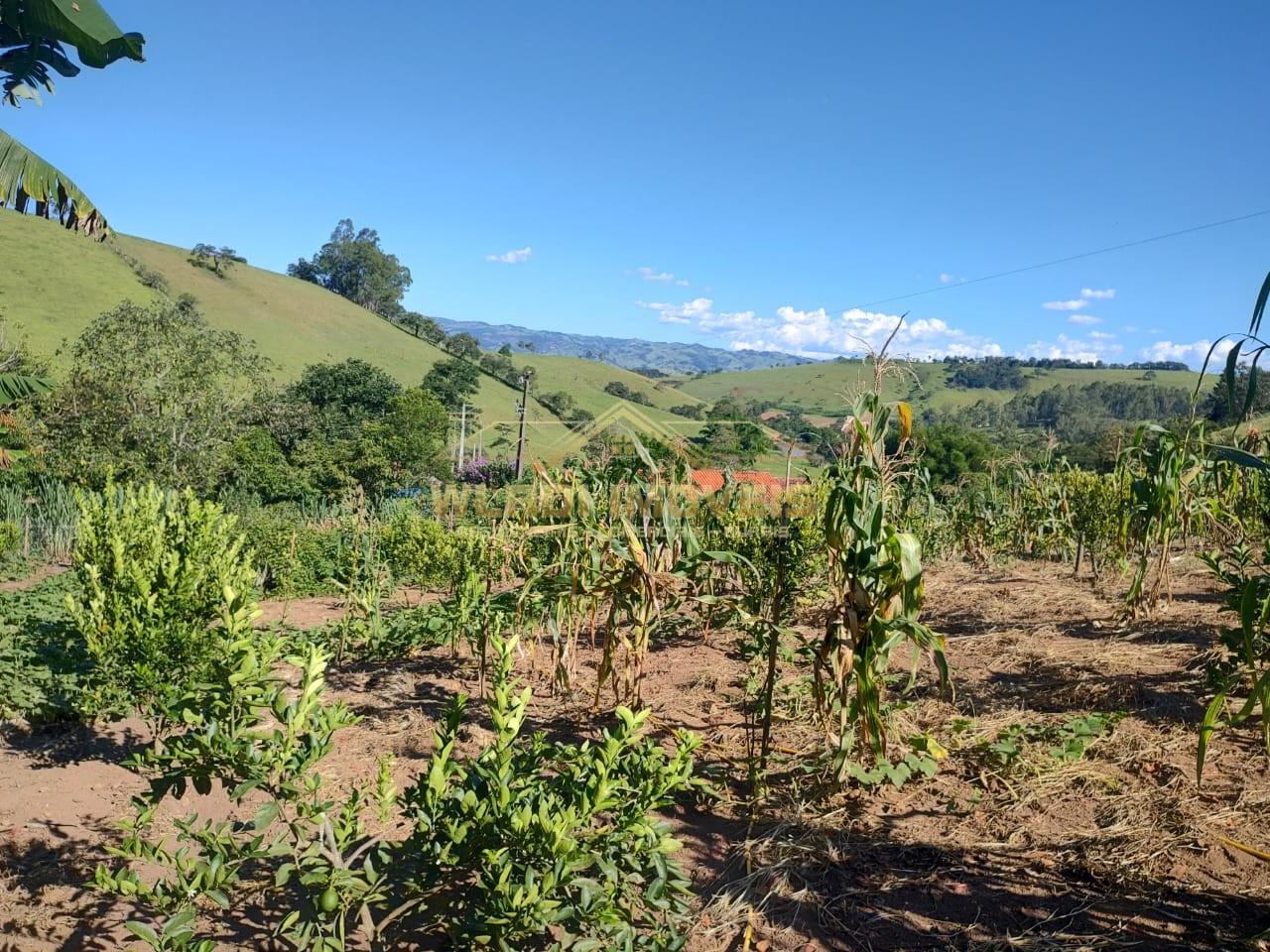Chácara à venda, 5000m² - Foto 13