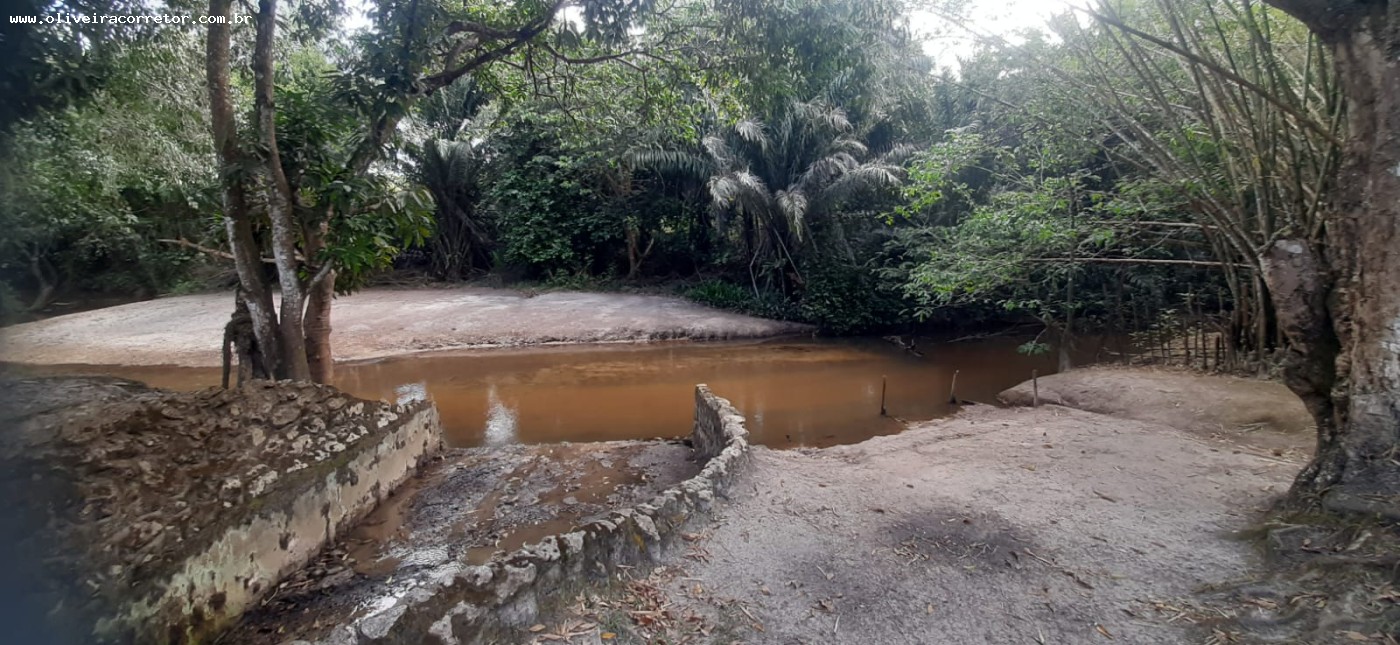 Chácara à venda com 50 quartos, 40000m² - Foto 17