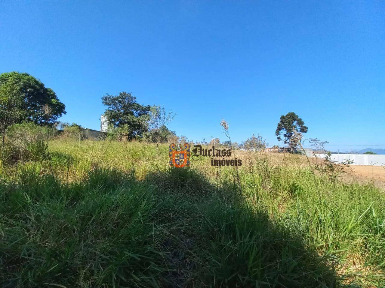 Loteamento e Condomínio à venda, 1960M2 - Foto 5