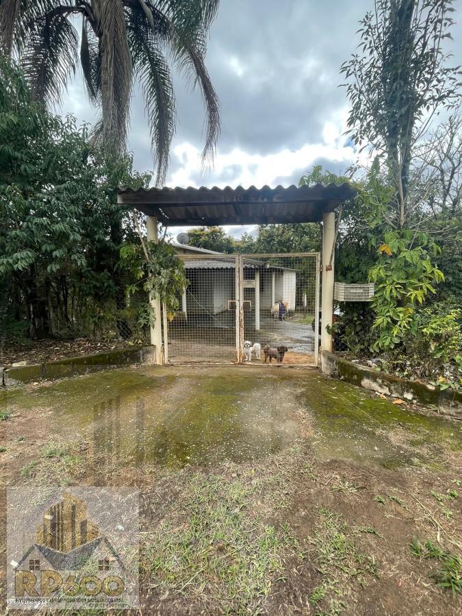 Fazenda à venda com 3 quartos, 2195m² - Foto 3