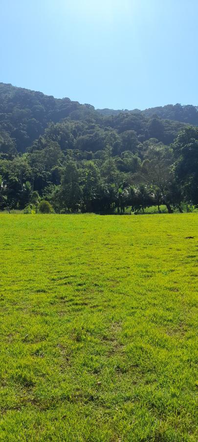Sítio à venda com 2 quartos, 18000m² - Foto 12