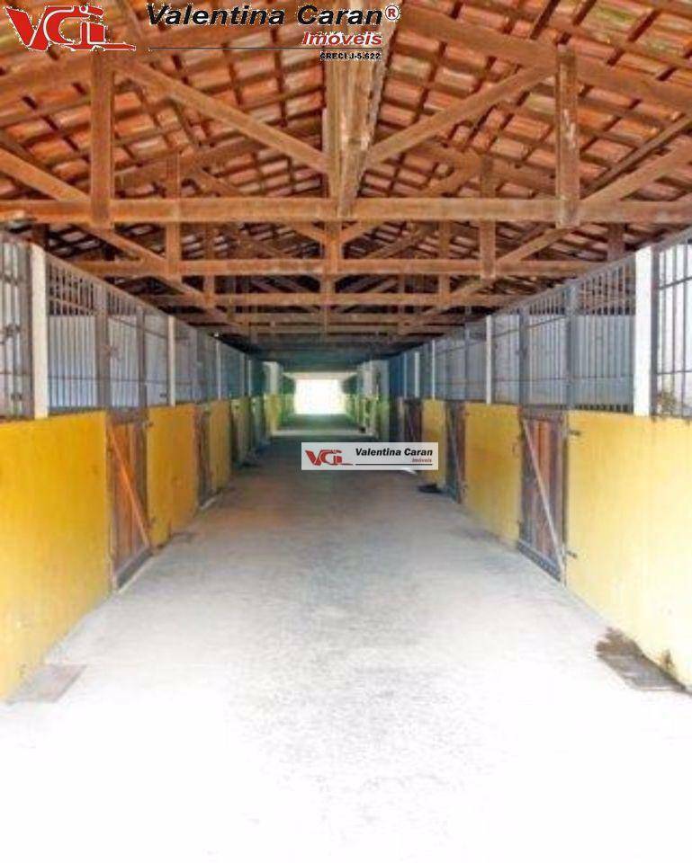 Haras e Área Rural Padrão à venda com 6 quartos, 2600m² - Foto 30