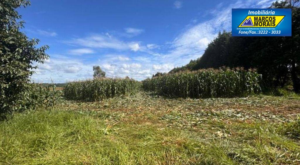 Chácara, 2 quartos, 5 hectares - Foto 2