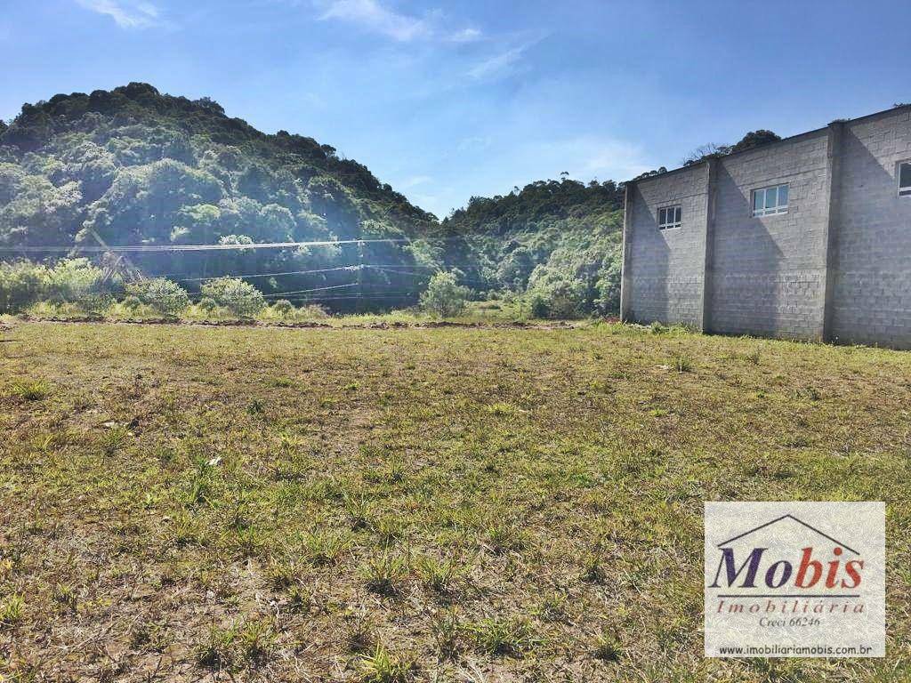 Depósito-Galpão-Armazém à venda e aluguel, 3600m² - Foto 11
