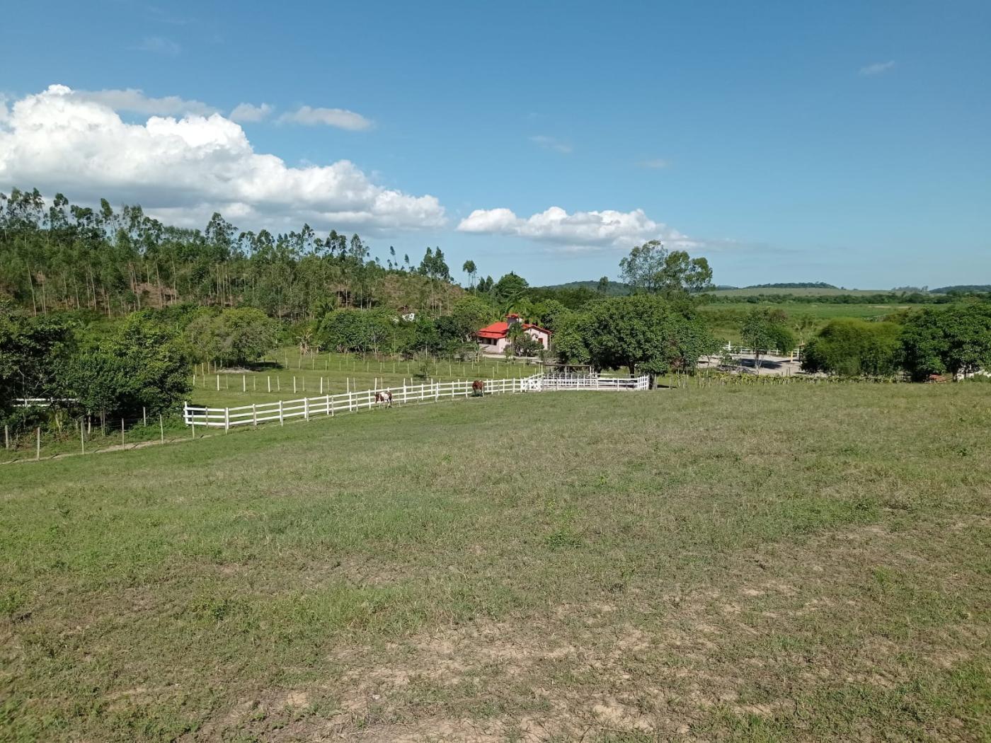 Fazenda à venda com 3 quartos, 80000m² - Foto 9