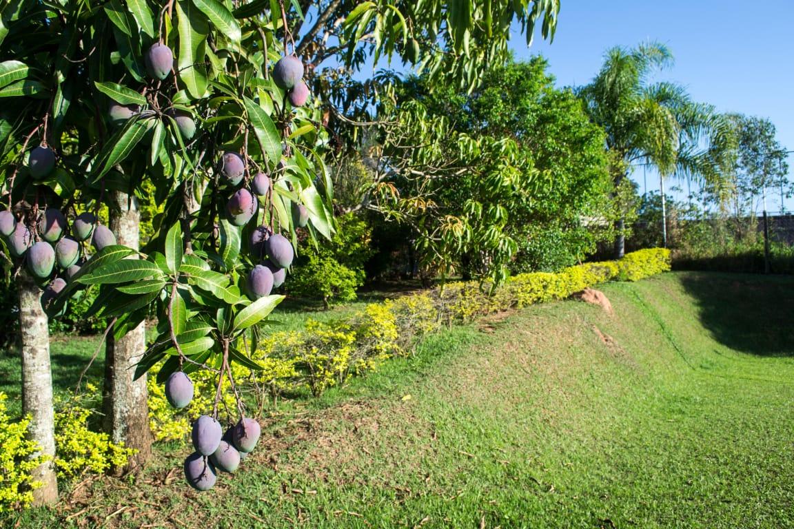 Fazenda à venda com 5 quartos, 2000m² - Foto 17