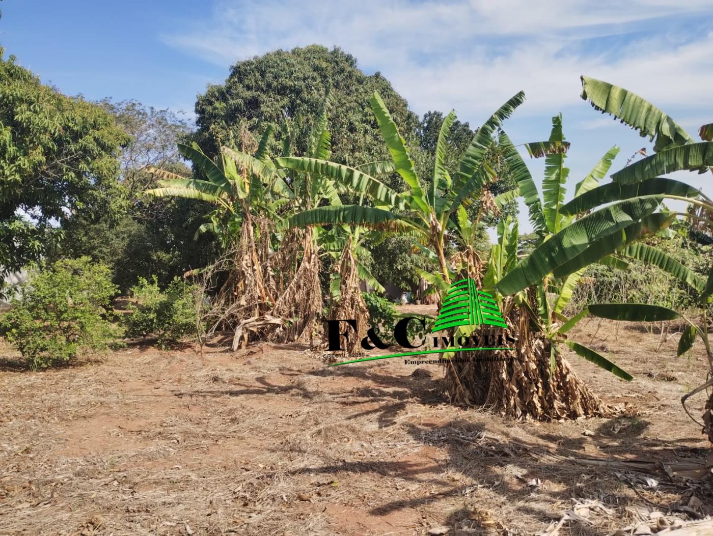 Fazenda à venda, 1280m² - Foto 8