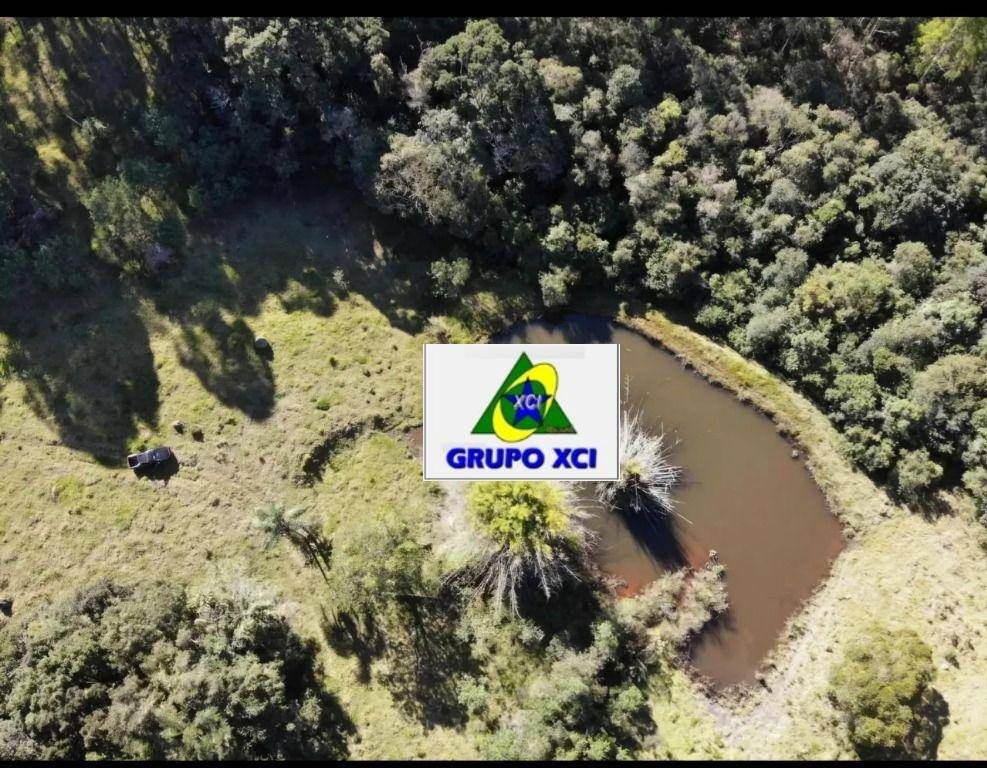 Fazenda à venda, 600000M2 - Foto 10