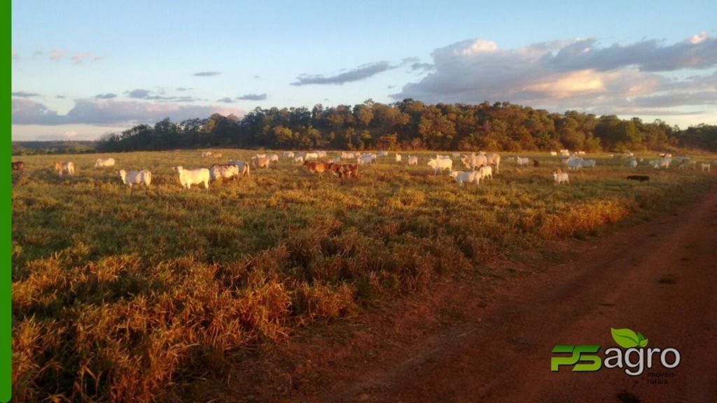 Fazenda à venda, 190000000M2 - Foto 8