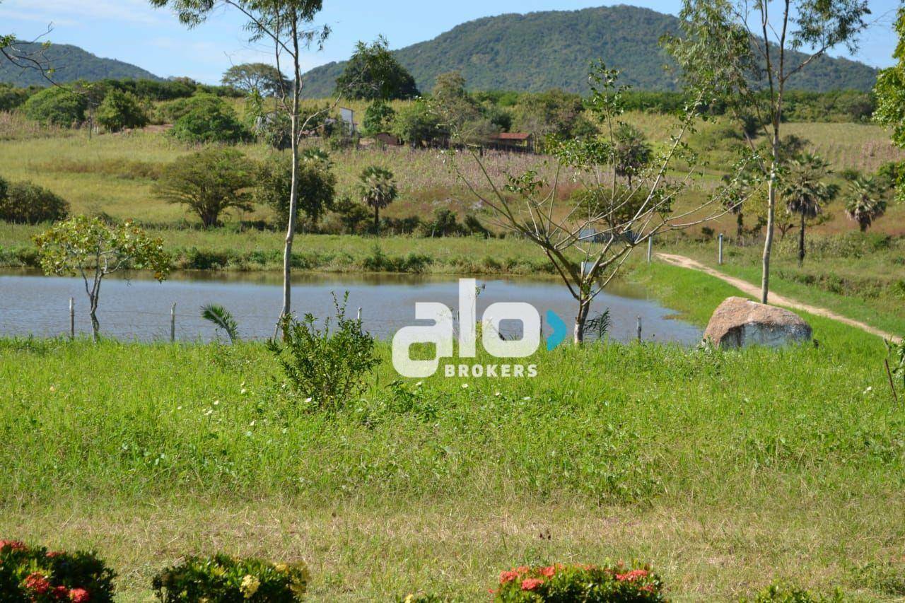 Fazenda, 52 hectares - Foto 5