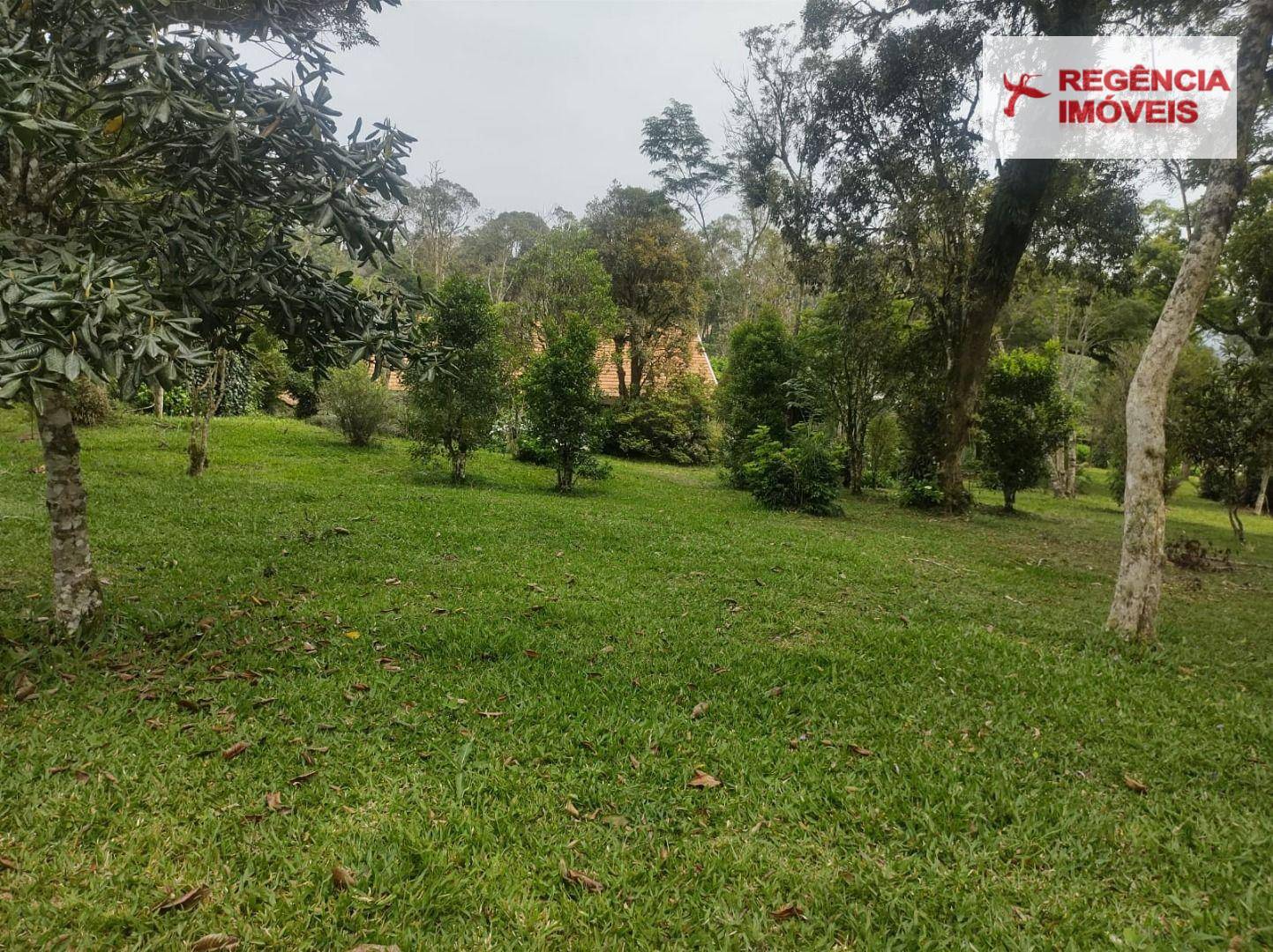 Terreno, 9700 m² - Foto 4