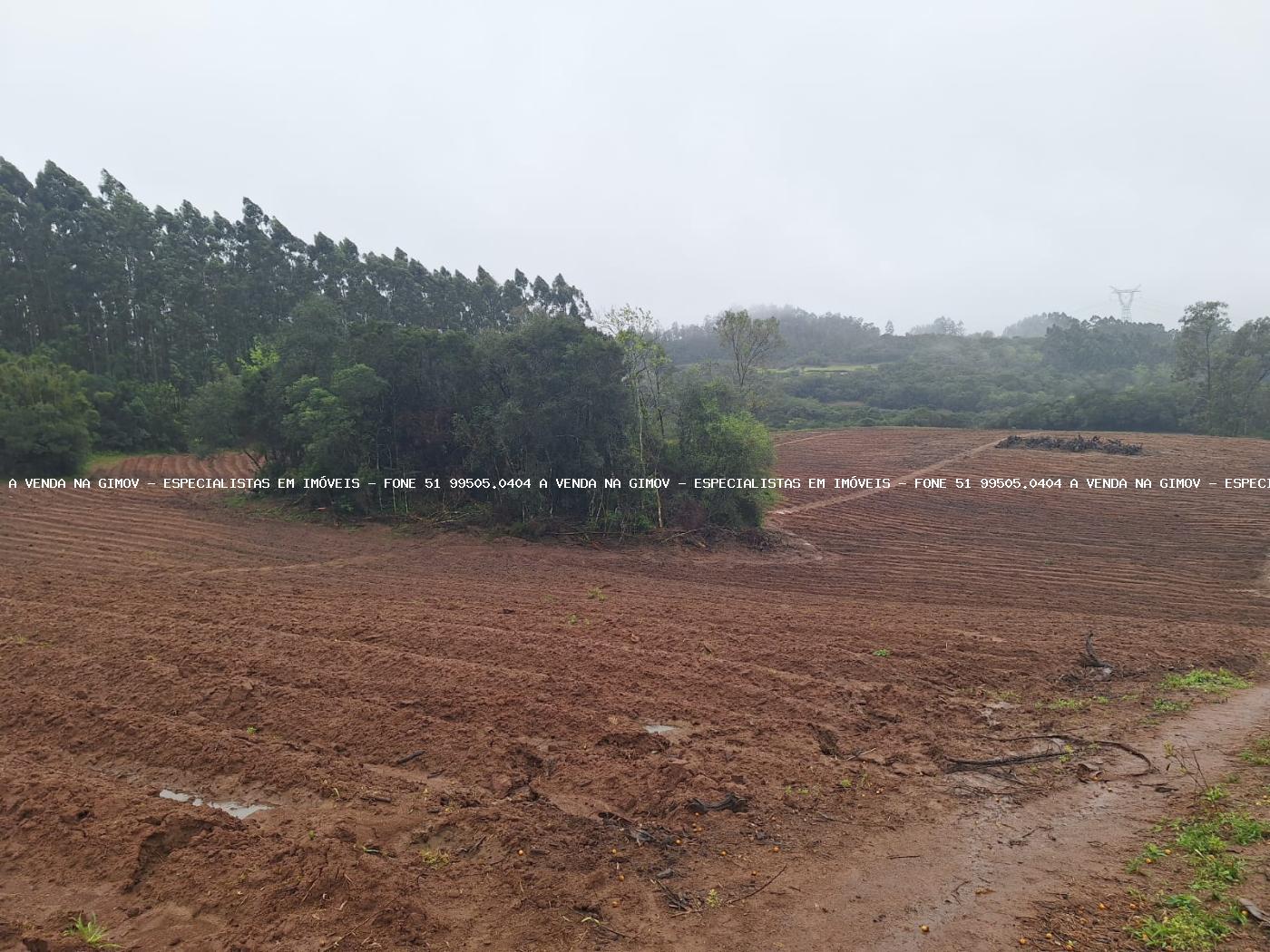 Fazenda à venda com 2 quartos, 141000m² - Foto 27