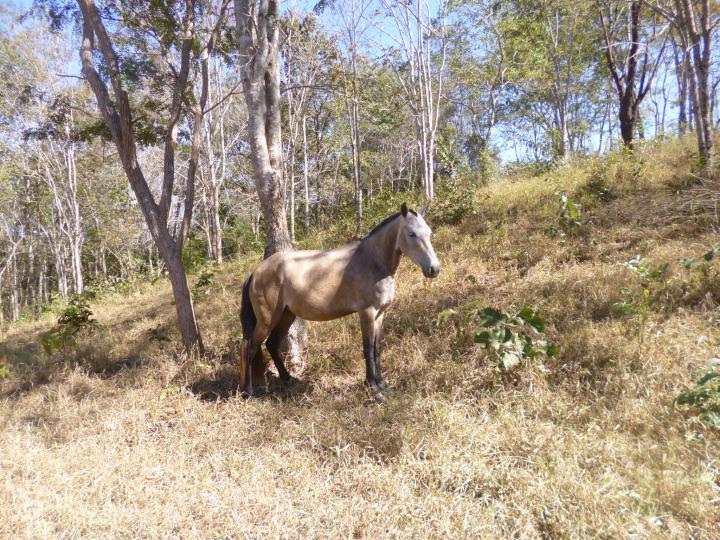 Chácara à venda, 19m² - Foto 15