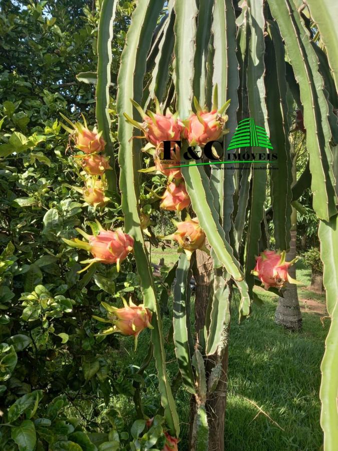 Fazenda à venda com 1 quarto, 1000m² - Foto 8