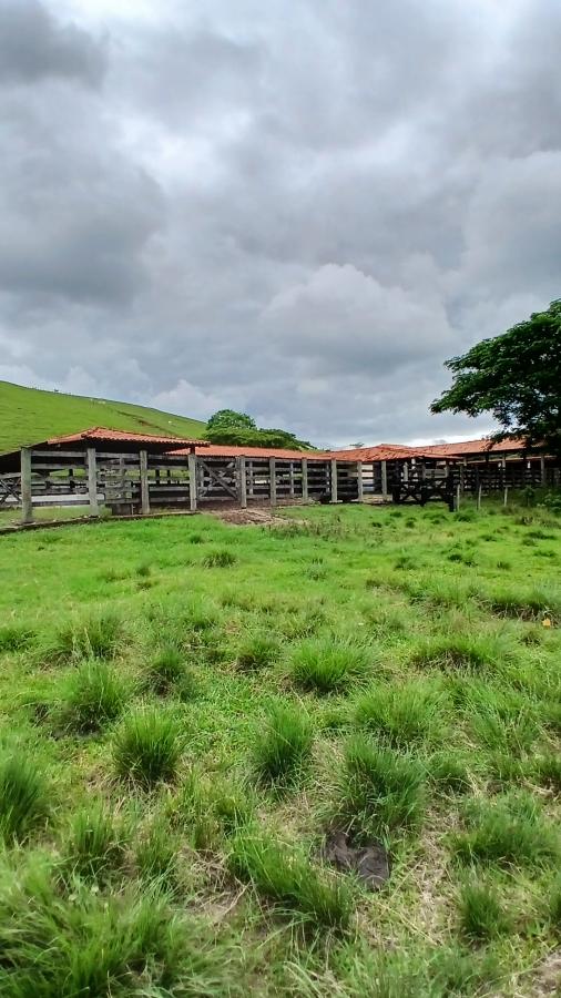 Fazenda à venda com 4 quartos, 19m² - Foto 9