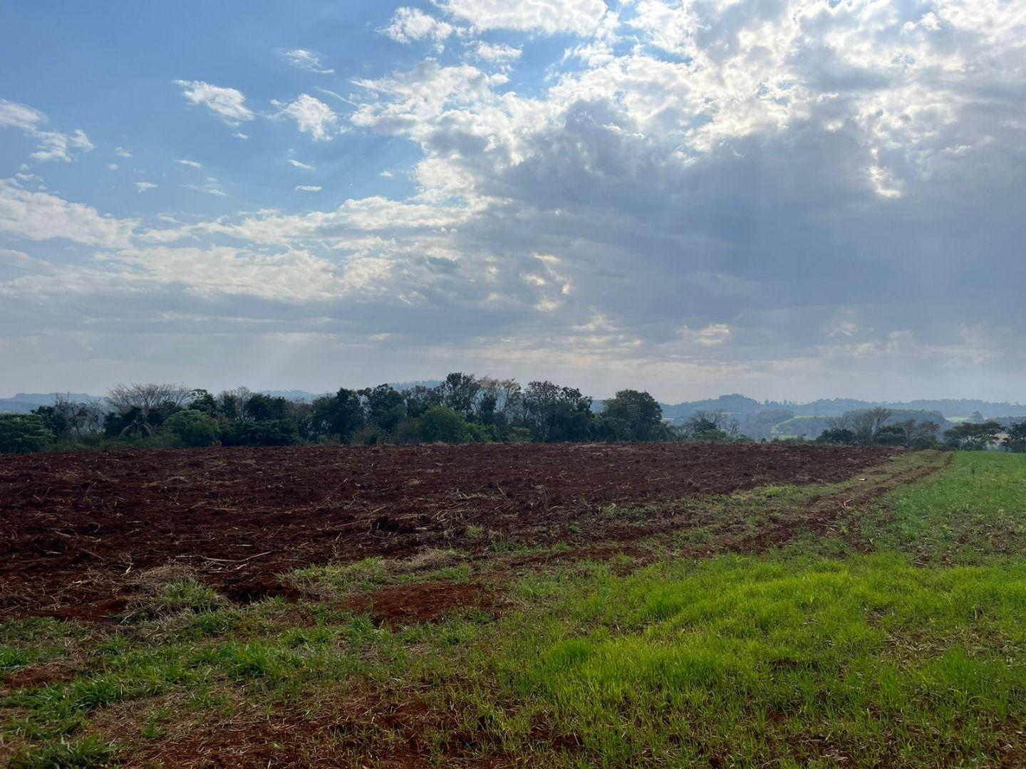 Terreno à venda, 30000m² - Foto 7