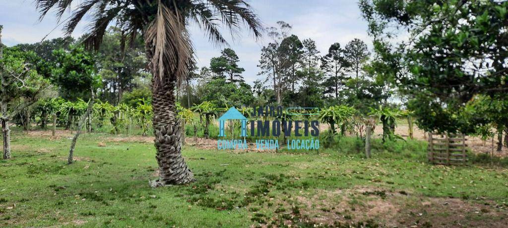 Chácara à venda com 4 quartos, 60000M2 - Foto 12