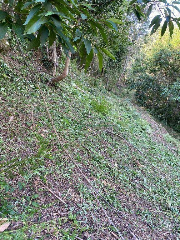 Sítio à venda com 3 quartos, 130m² - Foto 28