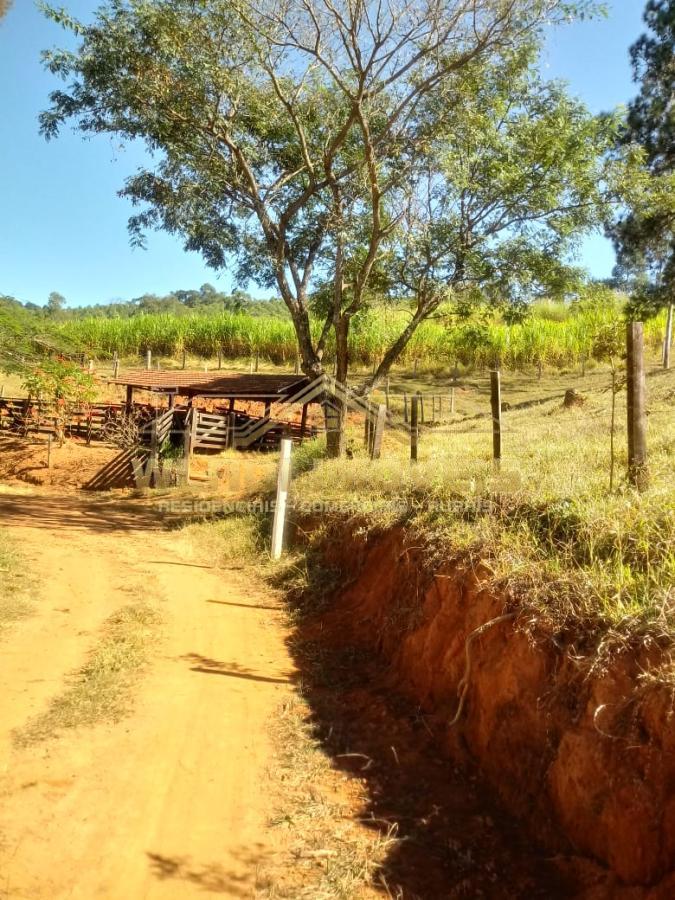 Fazenda à venda com 3 quartos, 25m² - Foto 13