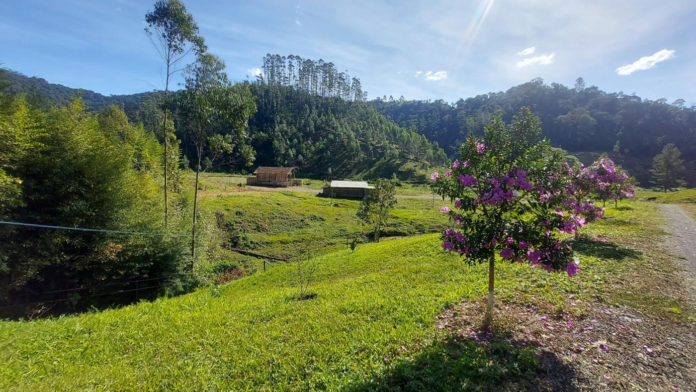 Fazenda à venda com 4 quartos, 4140000m² - Foto 6