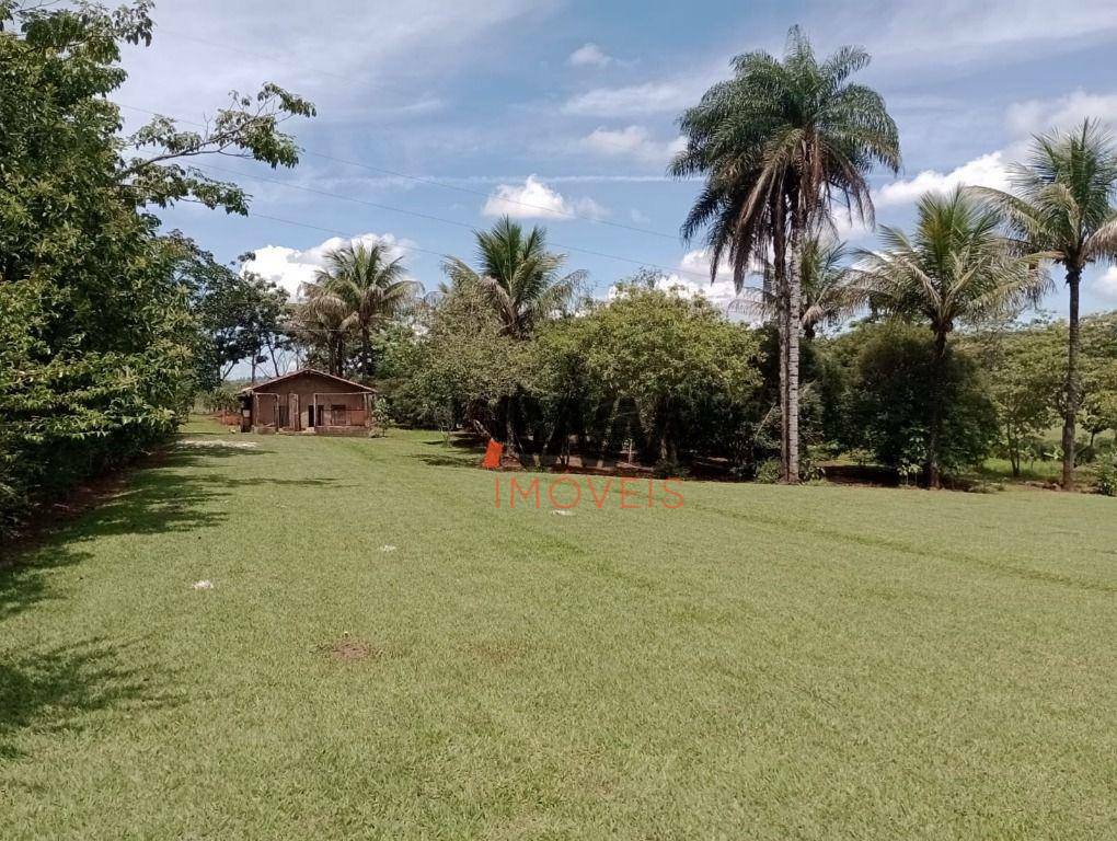 Fazenda à venda com 4 quartos, 820000M2 - Foto 34