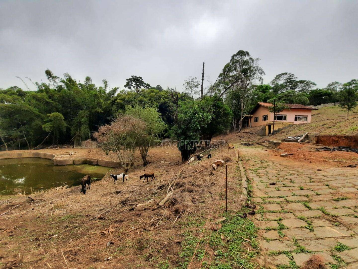 Terreno à venda, 20700M2 - Foto 4