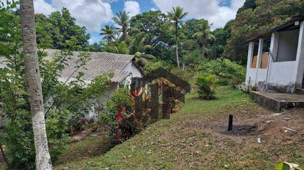 Chácara à venda com 3 quartos, 5000M2 - Foto 14