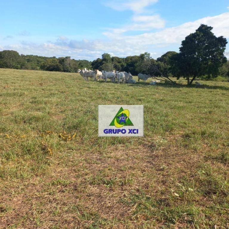 Fazenda à venda, 10000000M2 - Foto 13