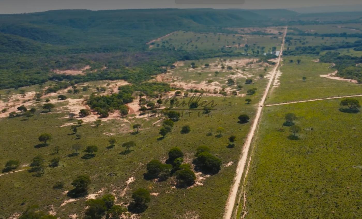 Fazenda à venda, 10000m² - Foto 7