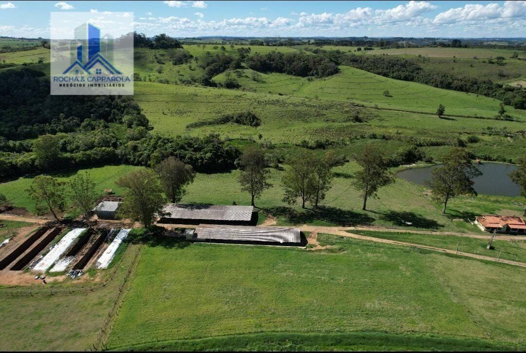 Fazenda à venda com 2 quartos, 3218600m² - Foto 8