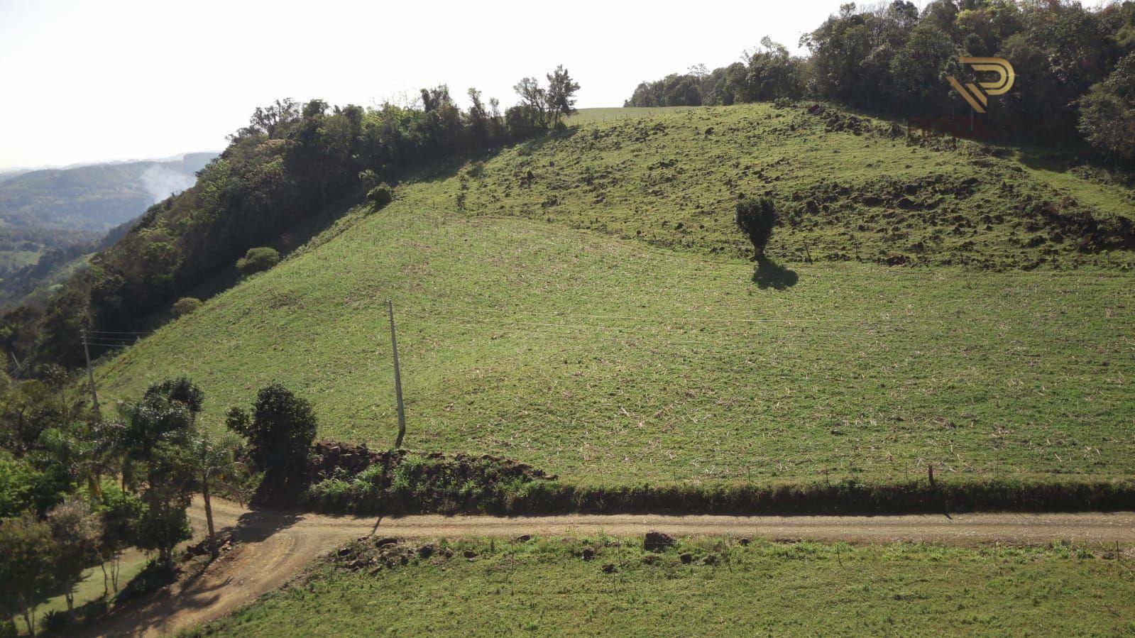 Terreno à venda, 120000M2 - Foto 5