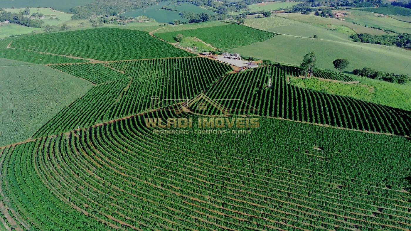 Fazenda à venda, 40m² - Foto 20