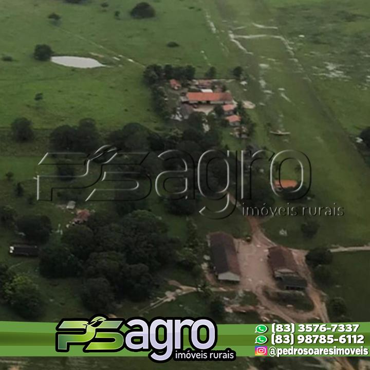 Fazenda-Sítio-Chácara, 149515 hectares - Foto 3