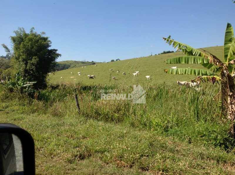 Fazenda à venda com 3 quartos, 250m² - Foto 6