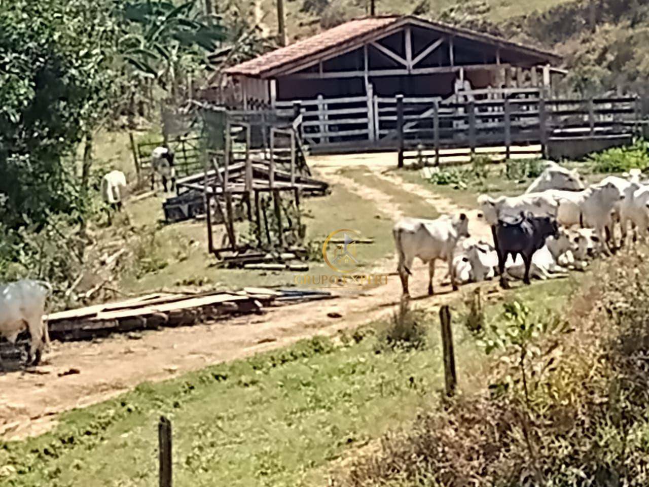 Fazenda à venda com 5 quartos, 3388000M2 - Foto 8