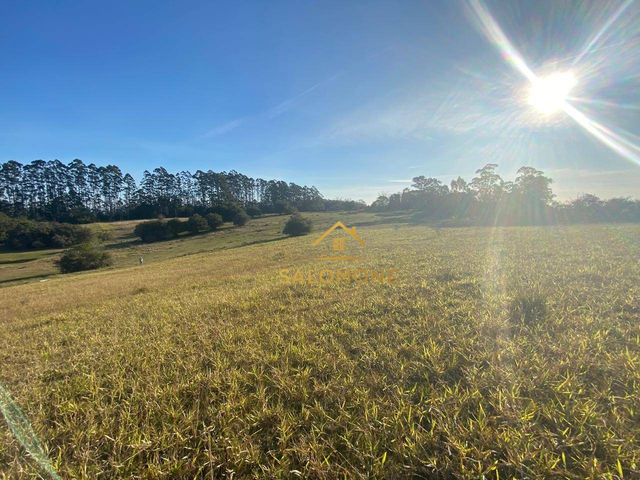 Sítio, 13 hectares - Foto 15