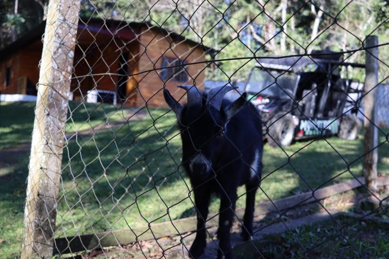 Fazenda à venda com 6 quartos, 80m² - Foto 25