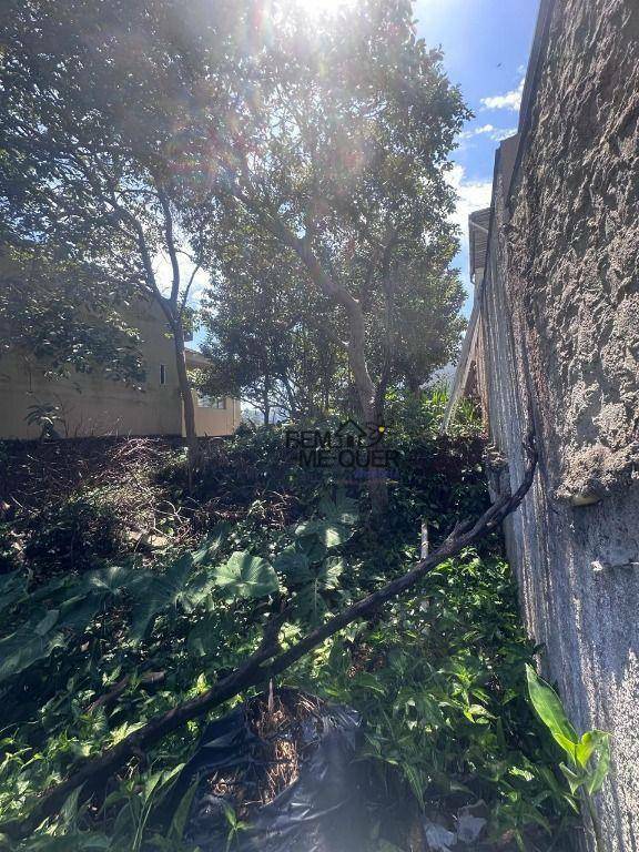 Terreno à venda, 275M2 - Foto 2