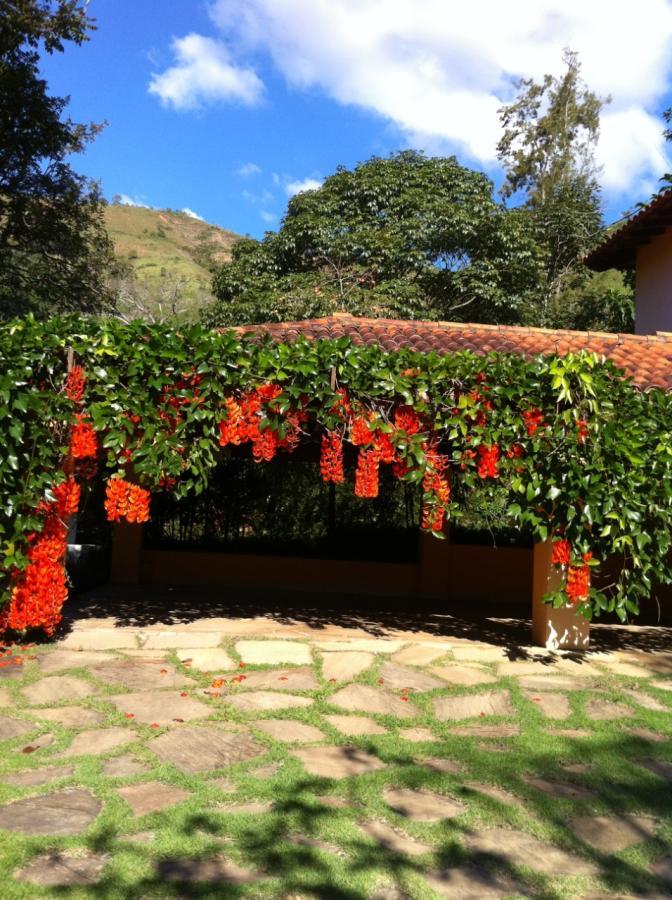 Fazenda à venda com 4 quartos, 5000m² - Foto 25