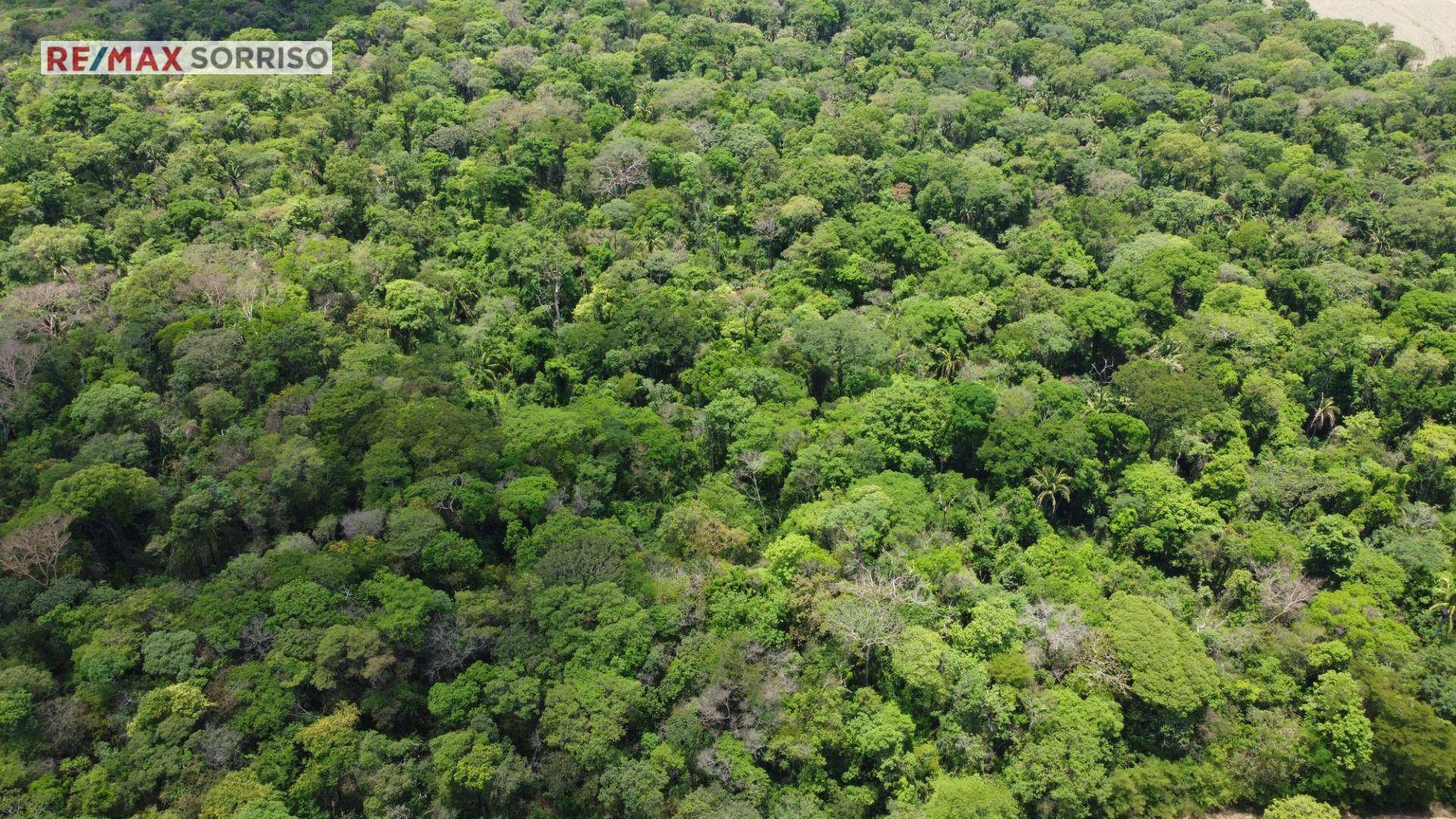 Fazenda à venda, 750000M2 - Foto 1