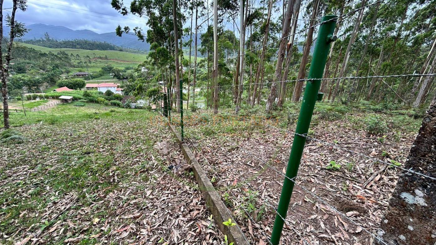 Terreno, 10000 m² - Foto 14