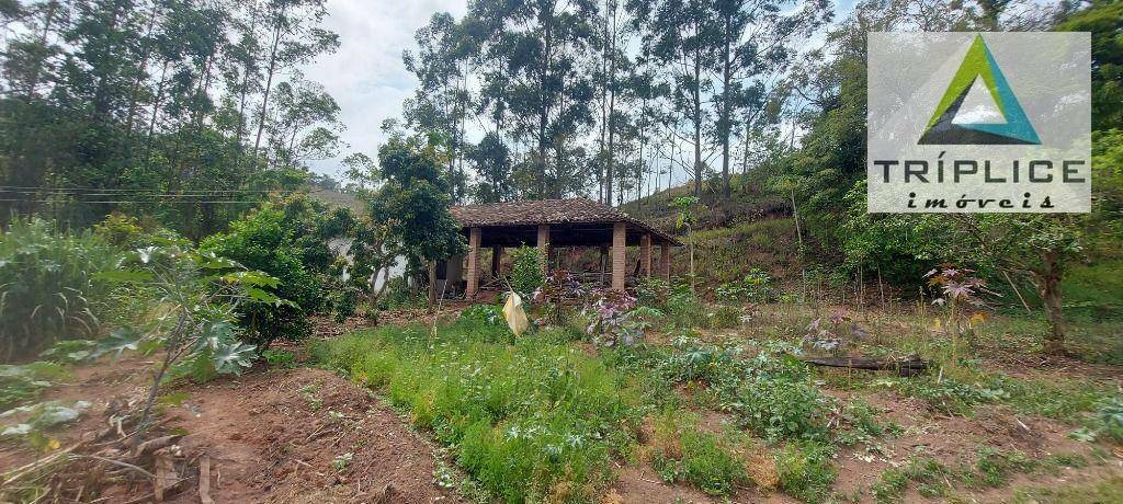 Fazenda à venda com 8 quartos, 1910000M2 - Foto 19