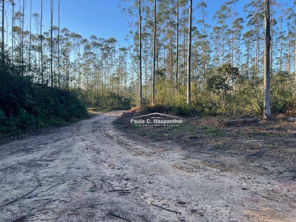 Terreno, 30 hectares - Foto 14