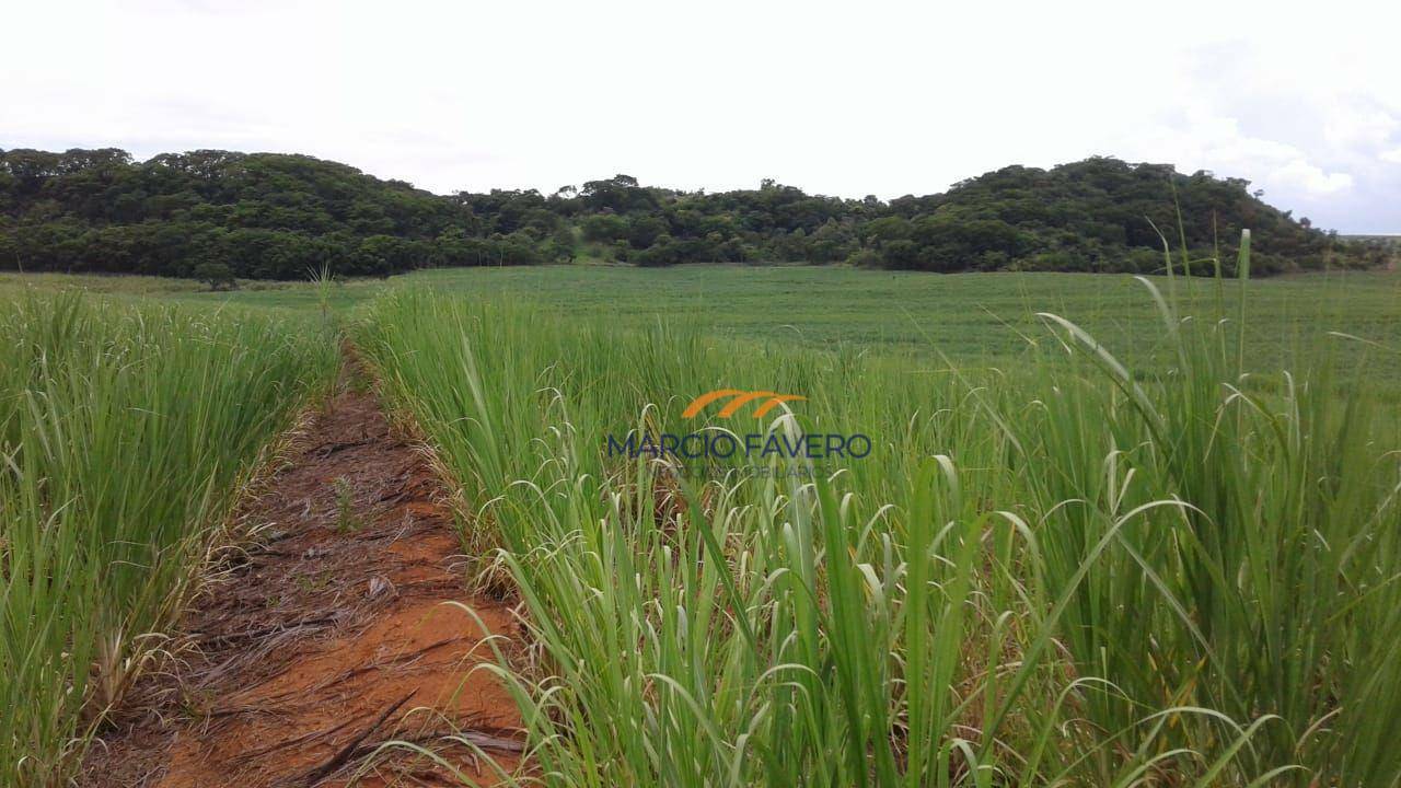 Fazenda à venda, 4670600M2 - Foto 5