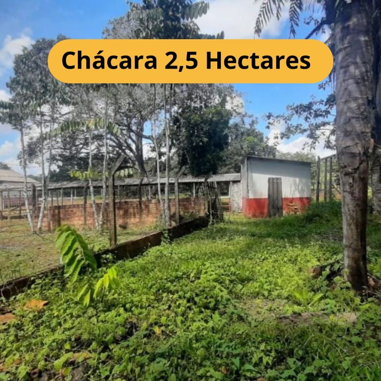 Chácara, 3 hectares - Foto 1