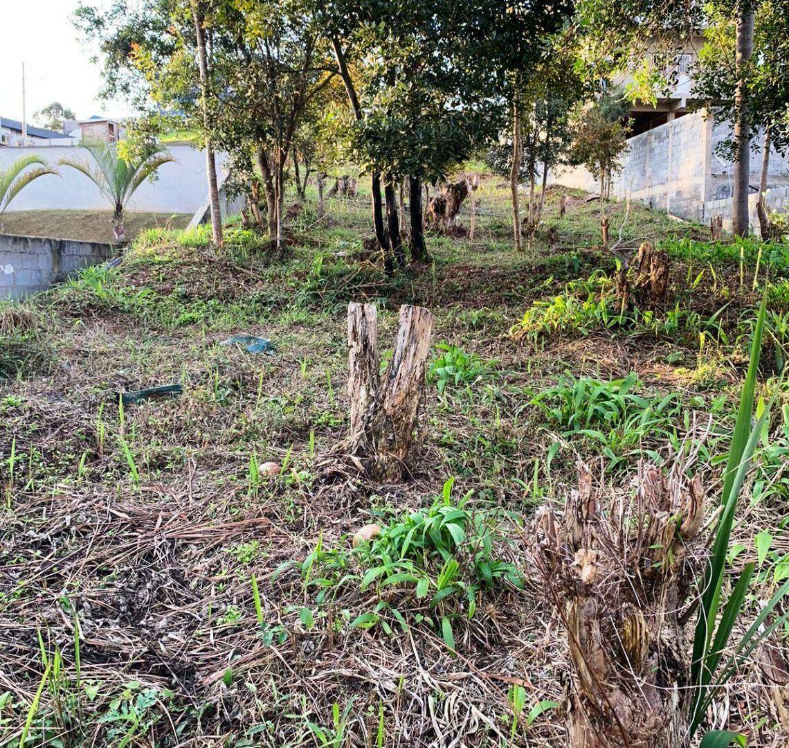 Loteamento e Condomínio à venda, 535M2 - Foto 3