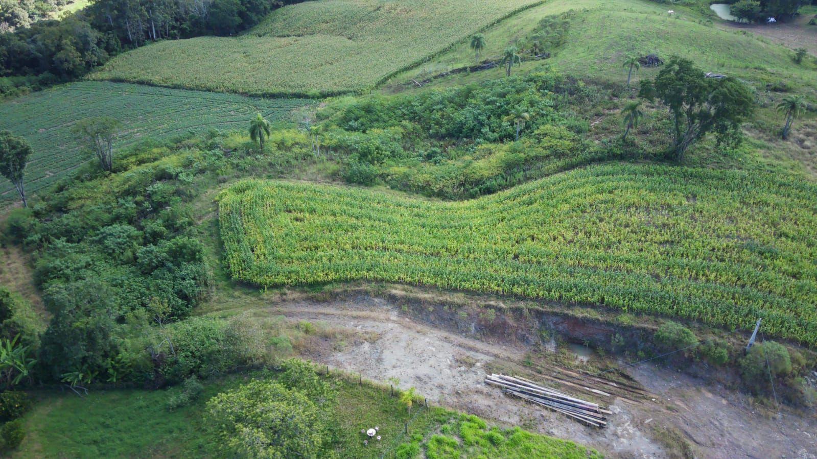 Terreno à venda, 30000m² - Foto 1