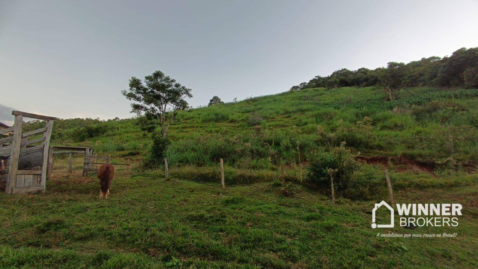 Sítio, 4 quartos, 34 hectares - Foto 19